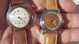 IMGP4428.webp