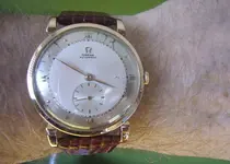 P1130564.webp