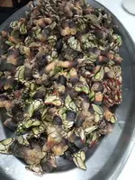 IMG_20201220_110509.webp