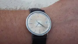 IMGP4439.webp