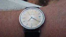 IMGP4437.webp