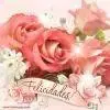 felicidades rosas rosa.webp