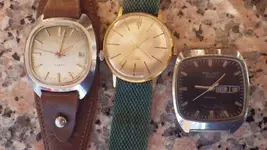 IMGP4455.webp