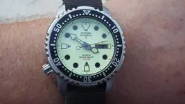 IMGP4472.webp