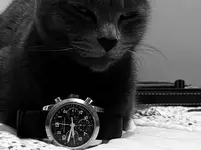 2969CFF4-9A73-42C0-81B7-AED9F0331C8A.webp