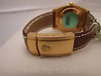 26175726.webp 26175726.webp