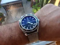 meine omega am mesh.webp