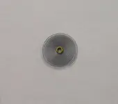 31 IMG_0088.webp