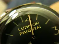 PAM 372.webp