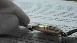 coronas 007.webp
