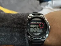 16095008645987336601025729953048.webp