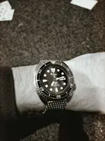16095247762621270323936716119959.webp