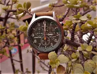 Timex 3.webp