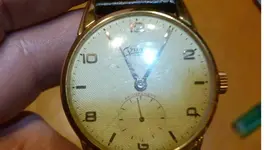 P1010213 (2).webp P1010213 (2).webp