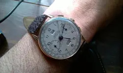 IMAG0370.webp