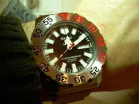 DSCN1330.webp