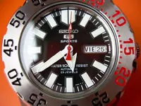 DSCN1303.webp