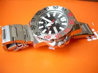 DSCN1304.webp