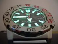 DSCN1310.webp