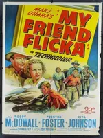FLICKA.webp