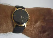 P1030520.webp