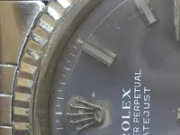 IMGP7820.webp
