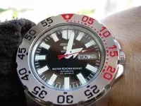 DSCN1335.webp