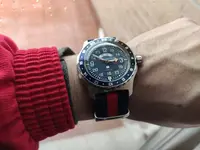 16126193630561916630567340118673.webp