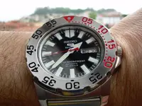 DSCN1351.webp