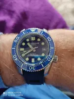 16144187789941210536149333178875.webp