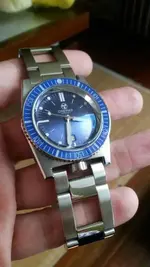 locean 540.webp