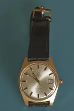 IMGP0243.webp