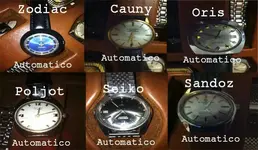 coleccion zodiac.webp coleccion zodiac.webp