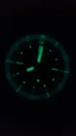 locean3 024.webp