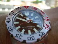DSCN1377.webp