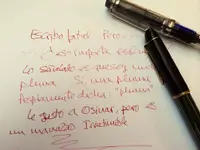 Escritín rosadín.webp