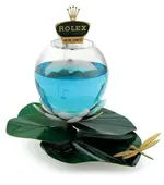 Rolex-Fishbowl-Display.webp