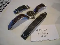 Hamilton earth Team 003.webp