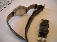 Hamilton earth Team 004.webp