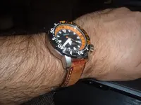 P5200160.webp