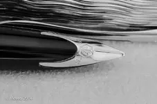 Waterman Carene-1.webp