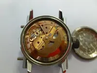 P1030032.webp