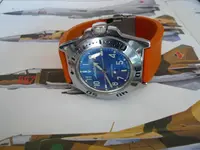 amphibian 2.webp