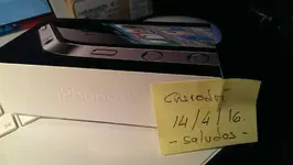 IMAG0290.webp