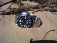 IMG00193-20140415-1643.webp