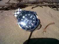 IMG00194-20140415-1643.webp