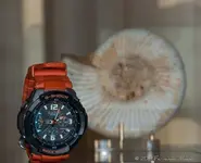 casio_g_shock_01.webp