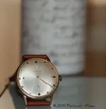 old_certina_01.webp