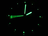 DSCN1337.webp