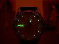 DSCN1339.webp